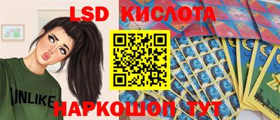 apvp Гусев