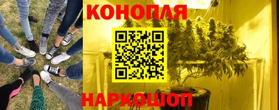apvp Гусев