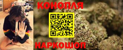 apvp Гусев
