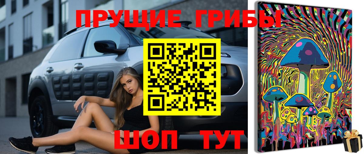 Псилоцибиновые грибы мицелий Назарово