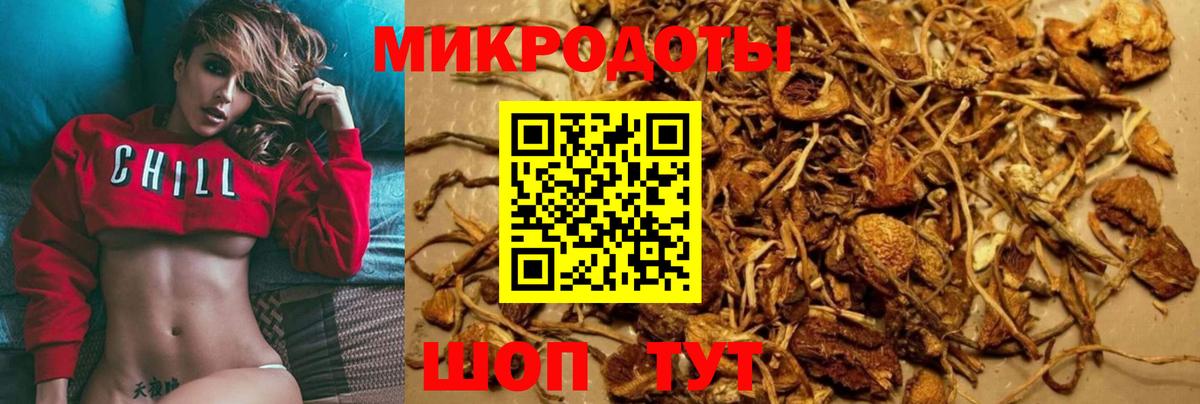 Назарово  Галлюциногенные грибы Psilocybine cubensis  Вход с VPN 